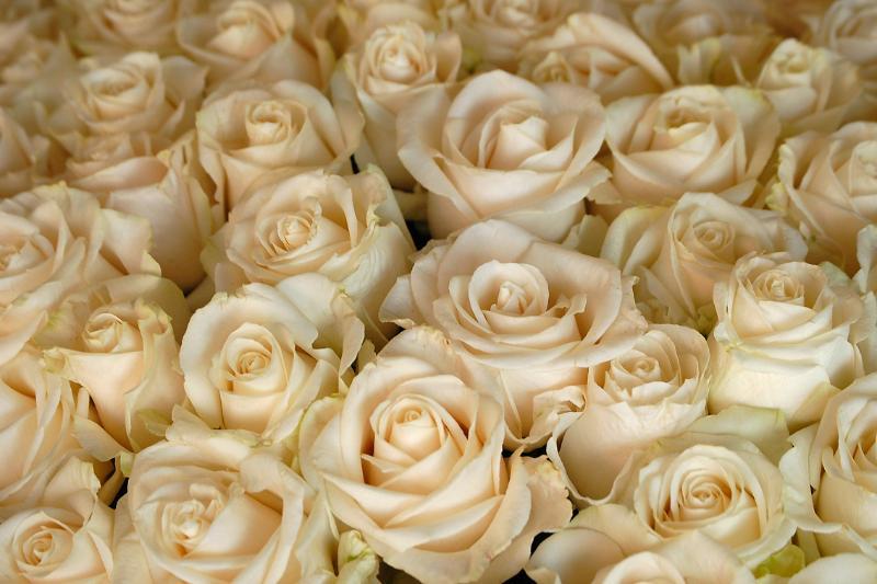 Casa Don Sancho By Mustique Hotel 4*